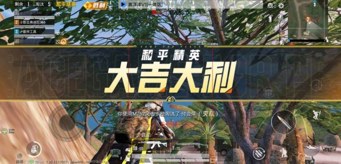 外挂有多强和平精英（外挂和平精英是什么样子的）